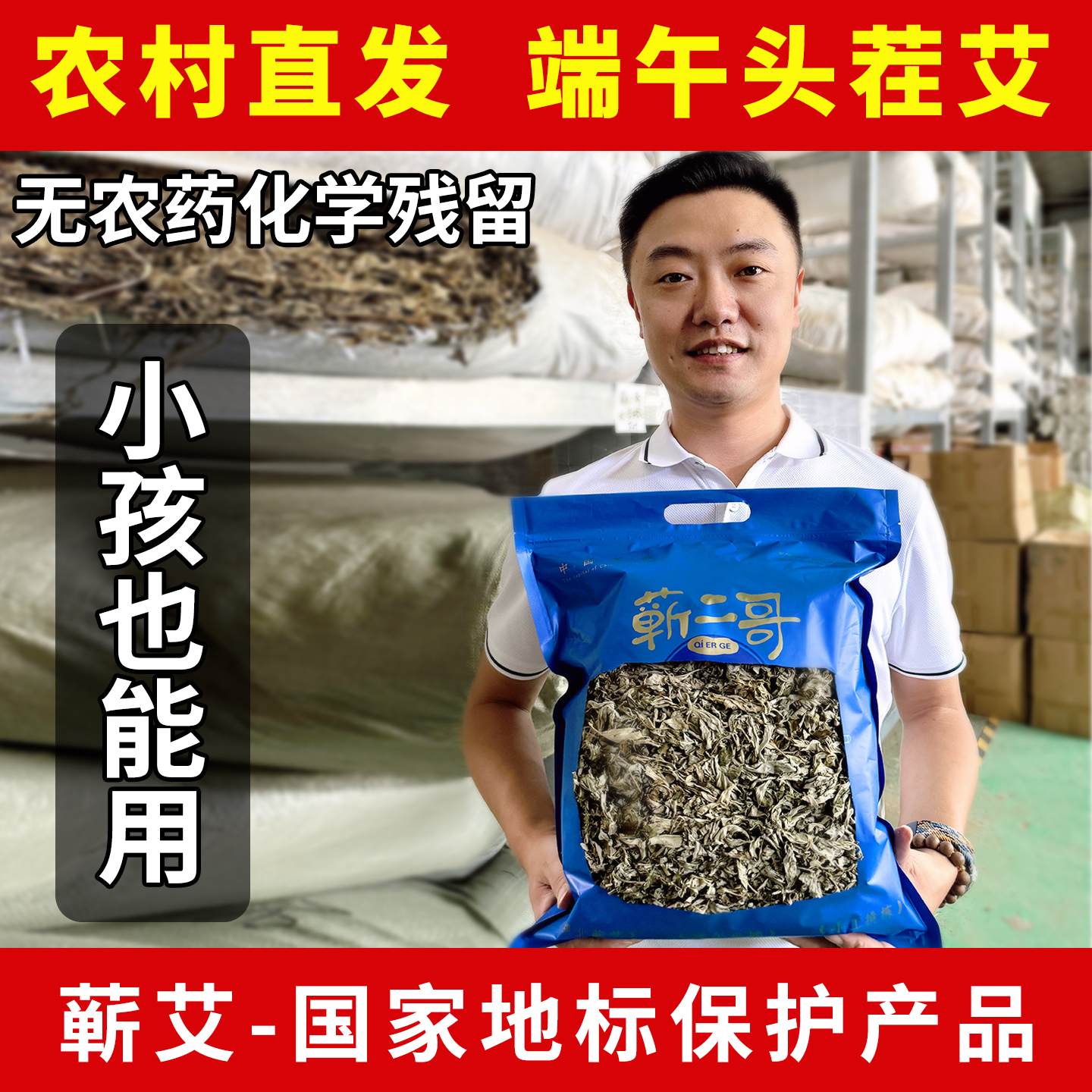 已售300万袋|蕲春端午头茬艾叶