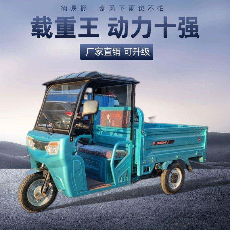 电动三轮车简易棚大功率货车家用农用爬坡拉货快递载重油电两用款