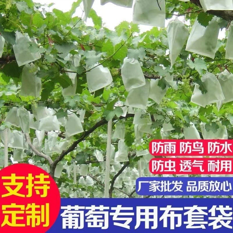 果实防晒水晶提子葡萄专用套袋巨峰户太露天用无纺布套袋水晶袋子