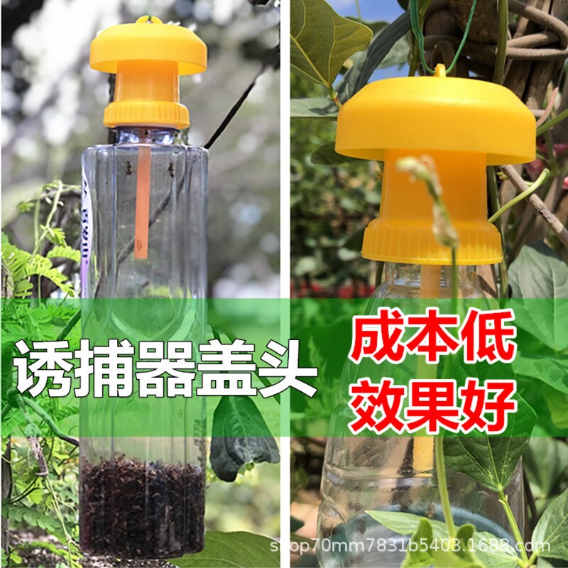 诱蜂器石榴百香果果蝇诱捕器果园菜地瓜果实蝇针蜂物理除虫瓶瓜蝇