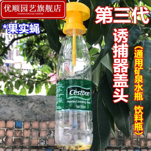 粘虫针蜂果蝇诱捕环保