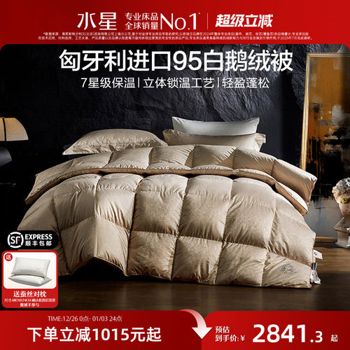 水星匈牙利进口95白鹅绒冬被