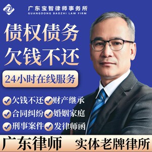 法律咨询服务追讨货款债务借贷合同纠纷老赖欠钱不还起诉发律师函