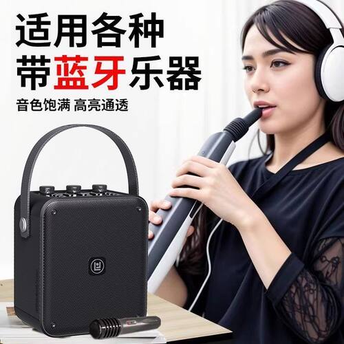 琅韵D93大功率无线蓝牙音响二胡吉他电吹管专用音箱便携扩音