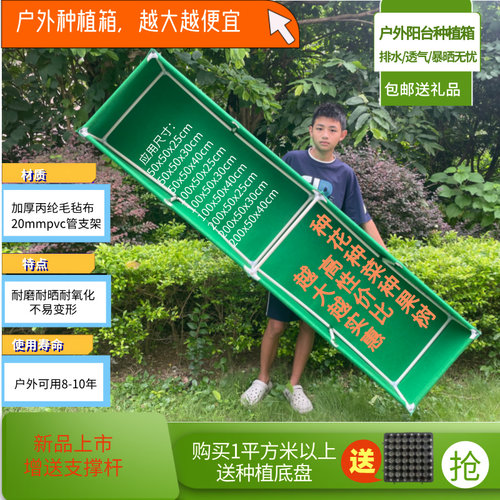 蔬菜育苗花卉种植家庭园艺阳台