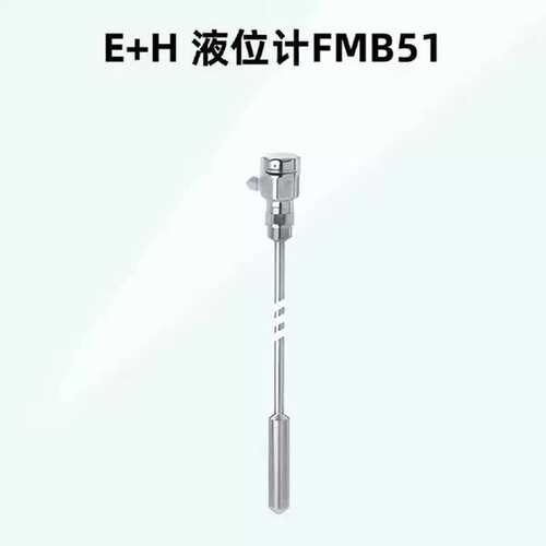 议价EH 静压式液位计FMB51 杆式压力感测器采用元件用于静压式物