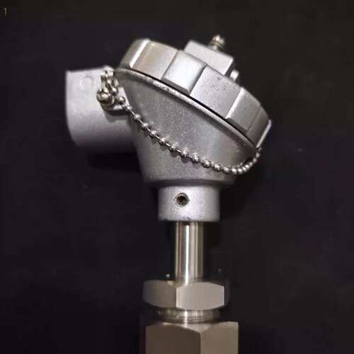 PTR-SDP 600C Pt100 温度感测器（请询价）