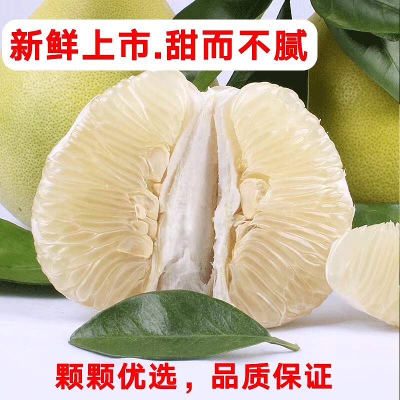上市蜜柚井冈蜜柚白心柚皮薄多汁