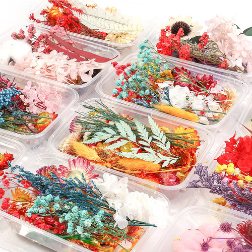真永生花干花diy材料包相框装饰摆件天然风干花束团扇三八节手工
