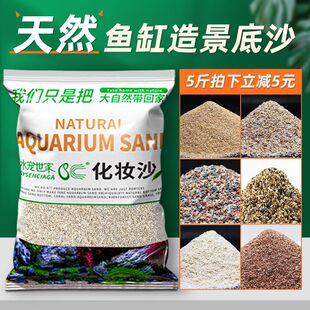 沙珊瑚底砂白色珊瑚沙砂沙底化妆沙菲律宾沙雨林砂草贝壳鱼缸造景