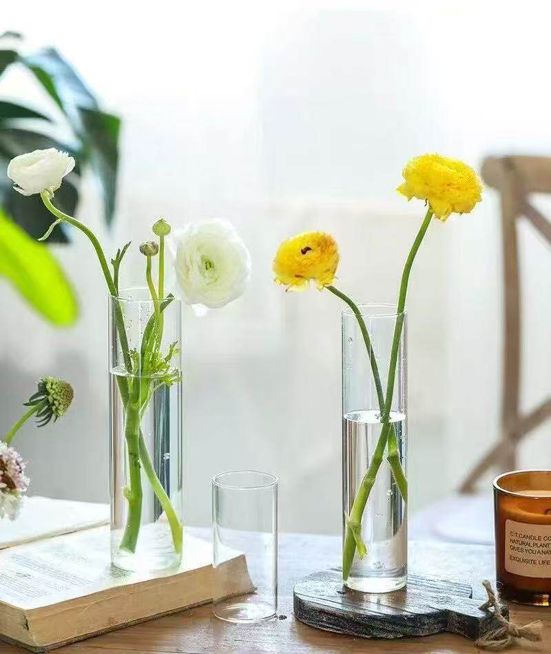 情绪稳定花瓶试管花瓶透明客厅直筒轻奢玻璃高级感试管水培瓶
