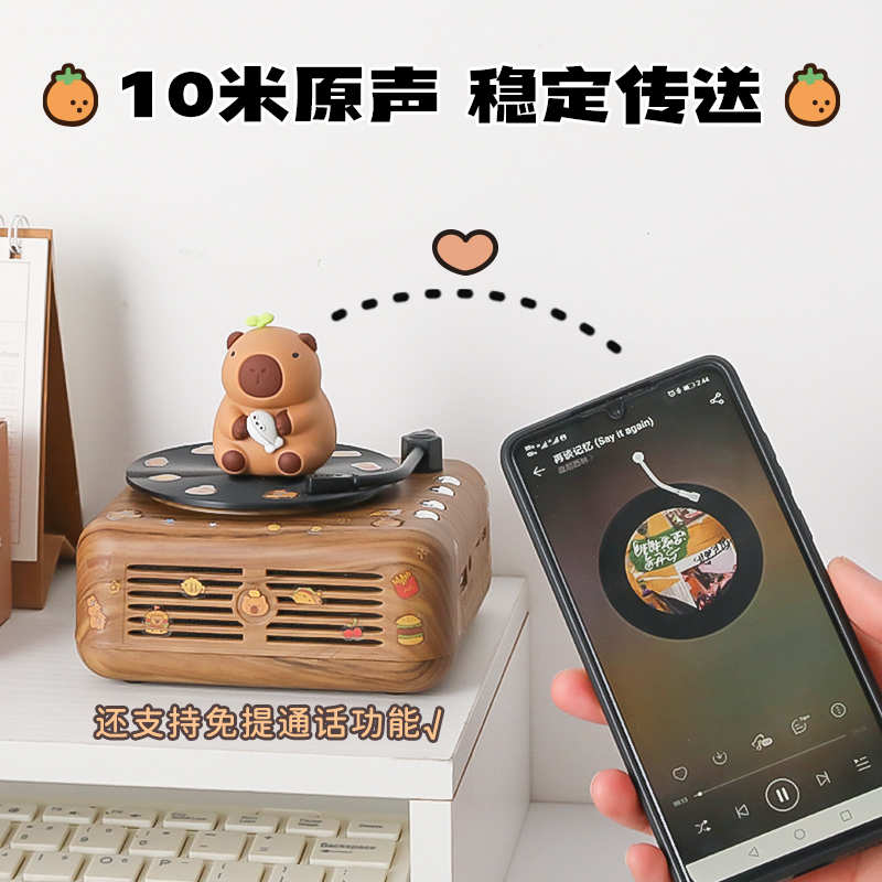 卡皮巴拉唱片cd蓝牙音响唱片可转