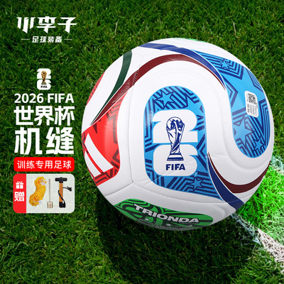 小李子阿迪达斯机缝训练足球