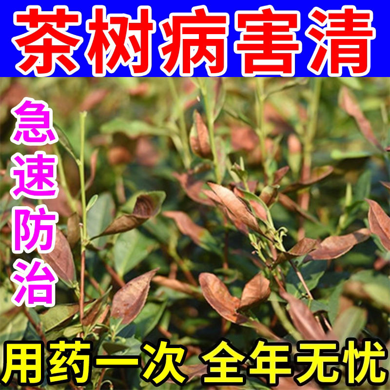 茶叶病全清专用农药叶枯病炭疽白绢赤星细菌性叶斑病根腐杀菌肥料