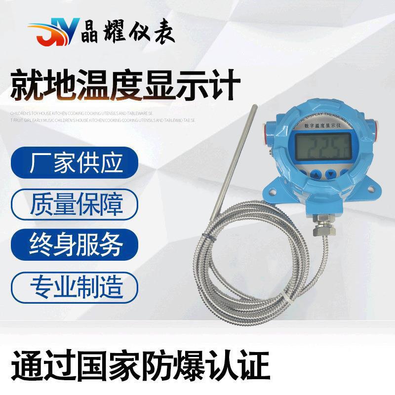 高精度挂壁式防爆式就地温度显示计数显温度计防水工业仪表