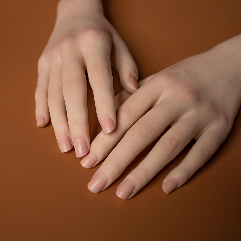 仿真硅胶模型饰品展示拍摄道具