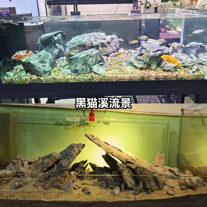 原生态溪流片岩DIY造景水陆缸鱼宠虾龟晒台养鱼缸古法沉木搭配等