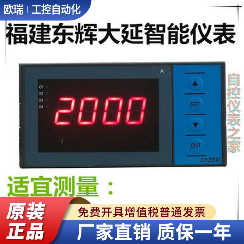 东辉仪表DY2000 DY29Z6P DY29Z0P DY21Z0P DY29Z6D DY29Z2-Pt100