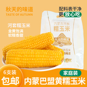 内蒙古巴盟软糯香甜粗粮真空袋装 黄糯玉米6支家庭装 味道 秋天