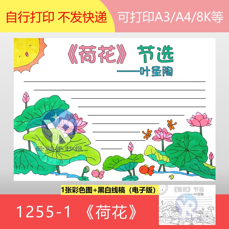 1255-1荷花节选叶圣陶人教版三年级语文课后心得体会手抄报电子版