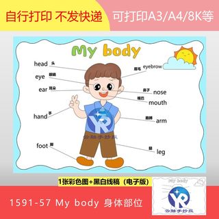 1591-57My body身体部位人教小学英语三年级上册手抄报电子版男孩