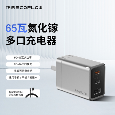 正浩65W氮化镓三口快充充电器