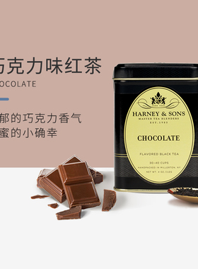 Harney Sons哈尼桑尔丝进口巧克力味红茶茶叶散茶罐装暖胃112g