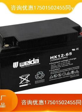 weida威达蓄电池HX12-120监控12V120AH铅酸通讯UPS直流屏船舶照明
