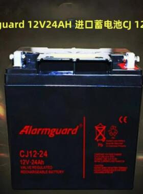 Alarmguard 12V24AH 进口蓄电池CJ 12v24AH 铅酸免维护UPS蓄电池