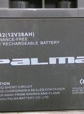 PALMA 八马蓄电池  PM38-12 免维护12V38AH EPSUPS直流屏电源电瓶