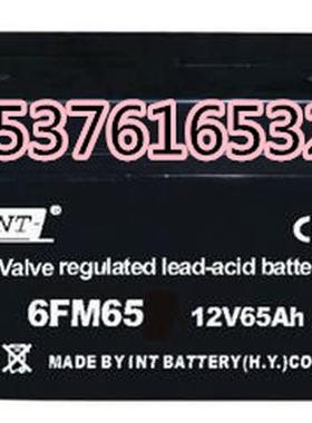 INT蓄电池6FM65直流屏12V65AH 消防主机 机房 基站 EPS UPS电源