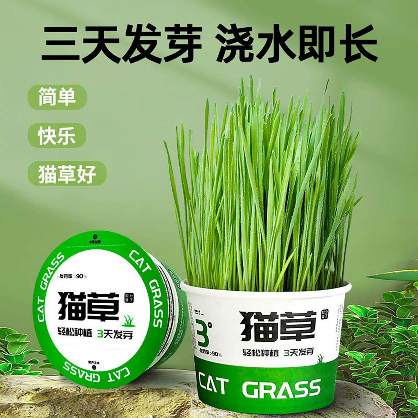 泡面猫草盆栽小麦水培猫草种植懒人猫草毛球片化毛草零食猫咪用品