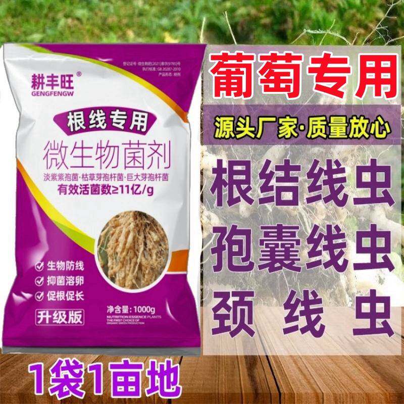 葡萄根结线虫专用药淡紫紫孢菌淡生物菌肥