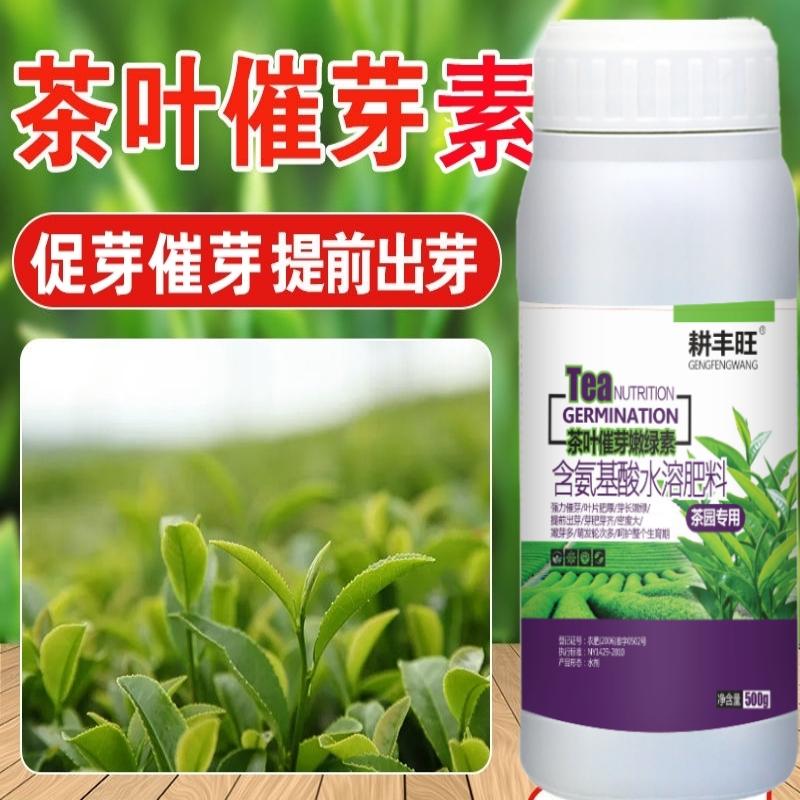 茶叶叶面肥茶叶催芽剂茶叶920催芽素促长剂生长素茶叶催芽先锋