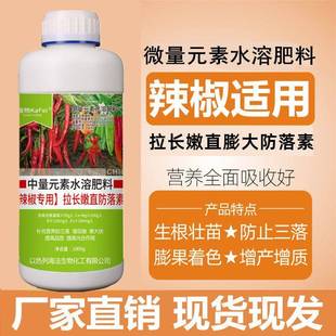 辣椒专用肥料膨大催红增产防落素坐果灵保花保果叶面肥辣椒分叉剂