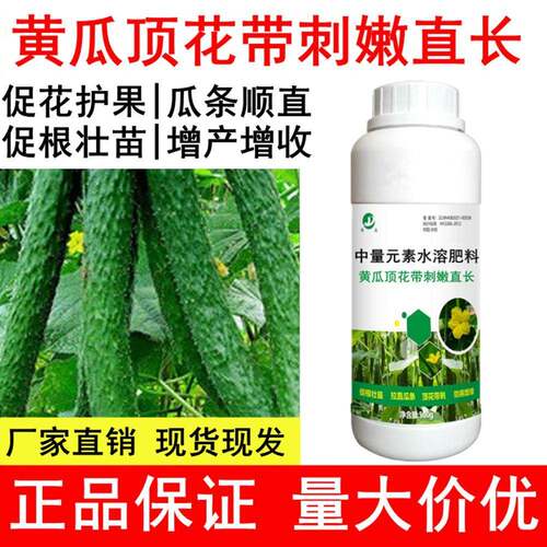 黄瓜专用水溶肥拉长拉直素顶花带刺增粗授粉座果增瓜灵黄瓜叶面肥