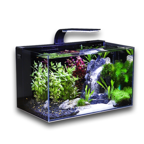 生态鱼缸免换水超白玻璃背滤自循环水草缸流沙瀑布造景客厅桌面缸