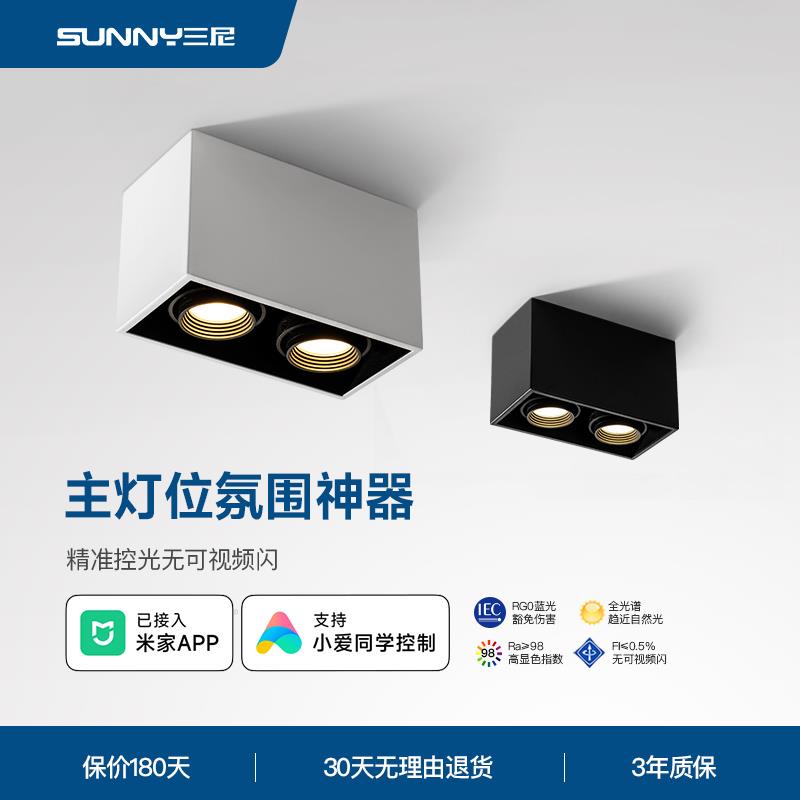 led明装射灯吸顶式斗胆灯客厅无主灯照明长方形双头筒灯盒仔灯