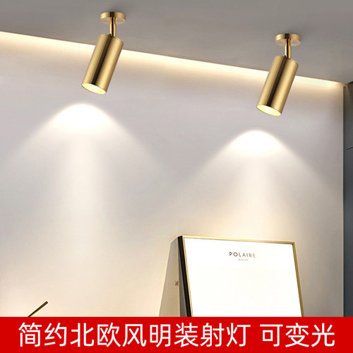 北欧金色商用明装吸顶免开孔射灯