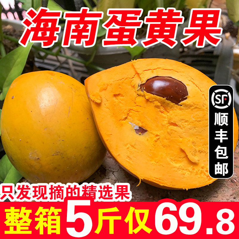 【顺丰】海南蛋黄果新鲜鸡蛋果特产黄晶狮头果热带果5斤带箱包邮|msdalam kategori daging perikanan/Buah-buahan segar dan sayur-sayuran/dimasak, buah-buahan segar, Passion Fruit - dari Buy2taobao.com untuk memberikan perkhidmatan ejen Taobao profesional membeli