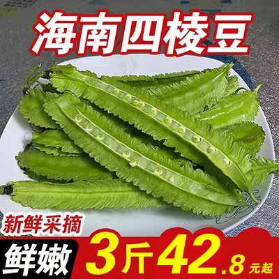 海南四棱豆新鲜四角豆皇帝豆龙豆当季豆角四季豆龙角豆带箱包邮