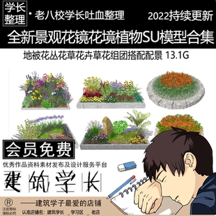 全新景观花镜花境SU模型合集 植物配置地被花丛花草花卉草花组团