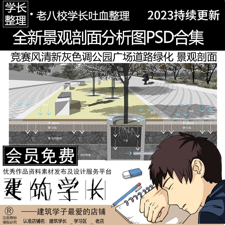 全新景观剖面分析图psd合集 竞赛风清新灰色调公园广场道路绿化