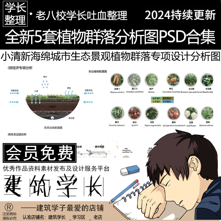 全新5套植物群落分析图PSD合集 小清新海绵城市生态园林景观专项