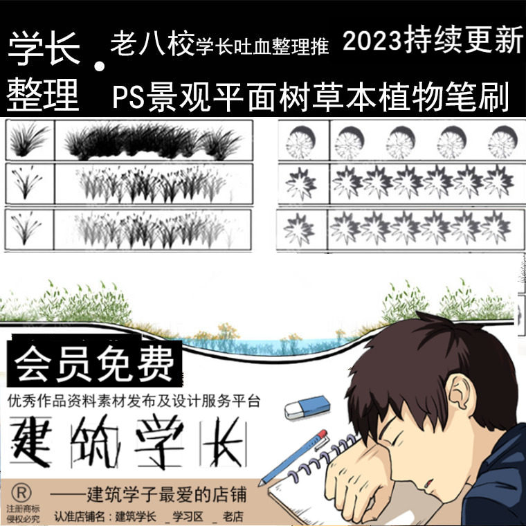 超全景观平面树草本植物ps笔刷合集素材花草树木平面树后期