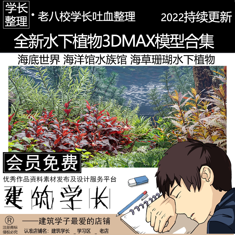 全新水下植物3dmax模型合集 海底海洋馆水族馆海草珊瑚水下植物