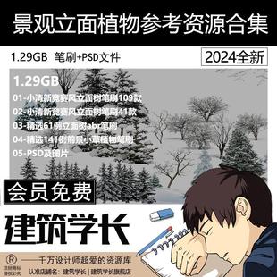 景观立面植物PS笔刷竞赛风树木灌木乔木笔刷PSD素材合集建筑学长