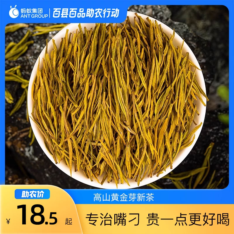 2025新茶高山黄金芽新茶黄金叶嫩芽高山云雾绿茶散装罐装绿茶茶叶