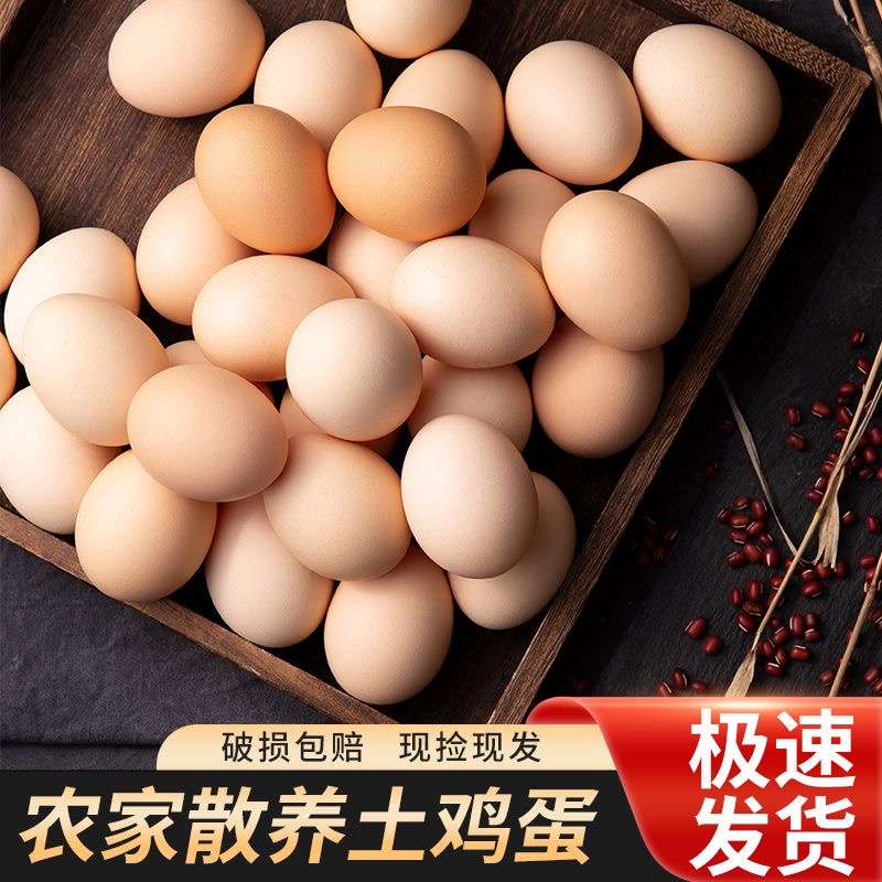 农家散养 现捡现发 每日鲜蛋 破损包赔