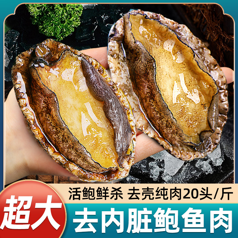 鲍鱼肉鲜活冷冻去牙去壳新鲜活鲍现剥去内脏火锅食材500g海鲜水产